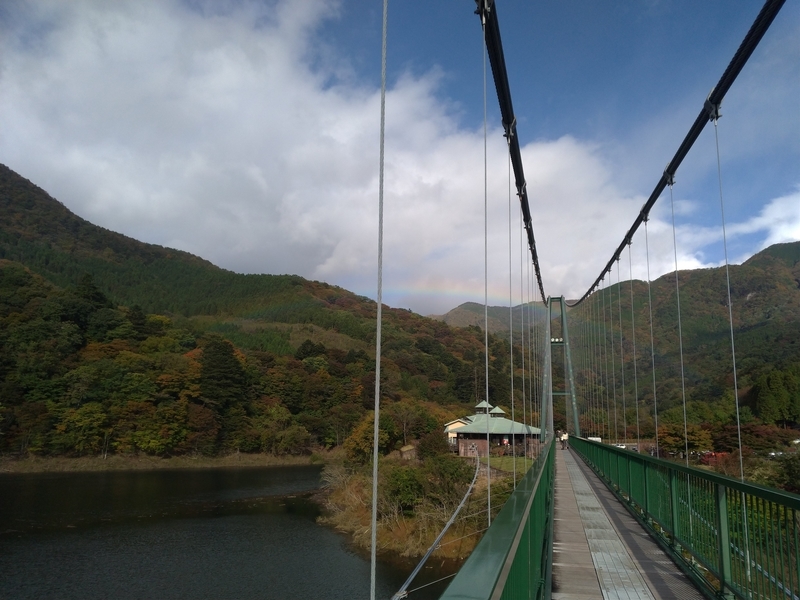 f:id:c6h1o9:20201110151903j:plain