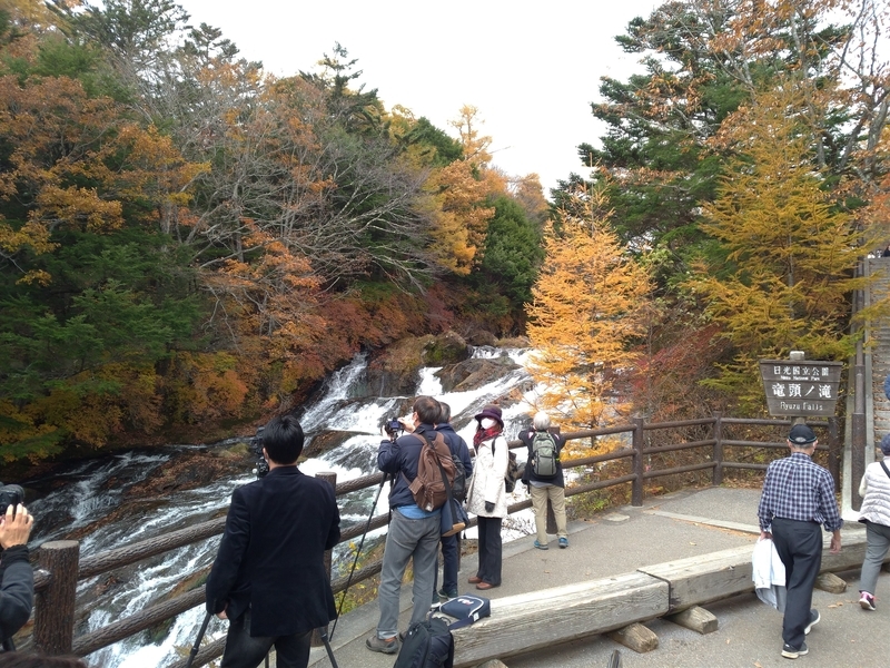 f:id:c6h1o9:20201113172505j:plain