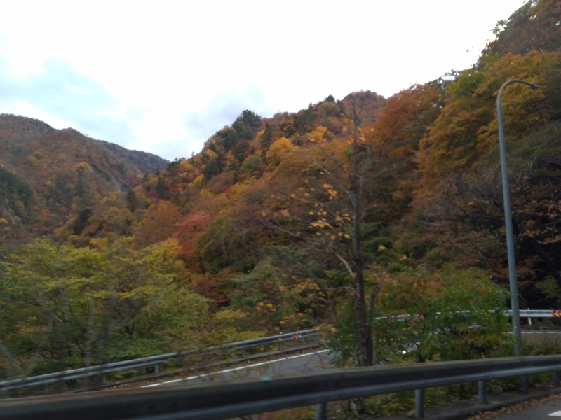 f:id:c6h1o9:20201117235706j:plain