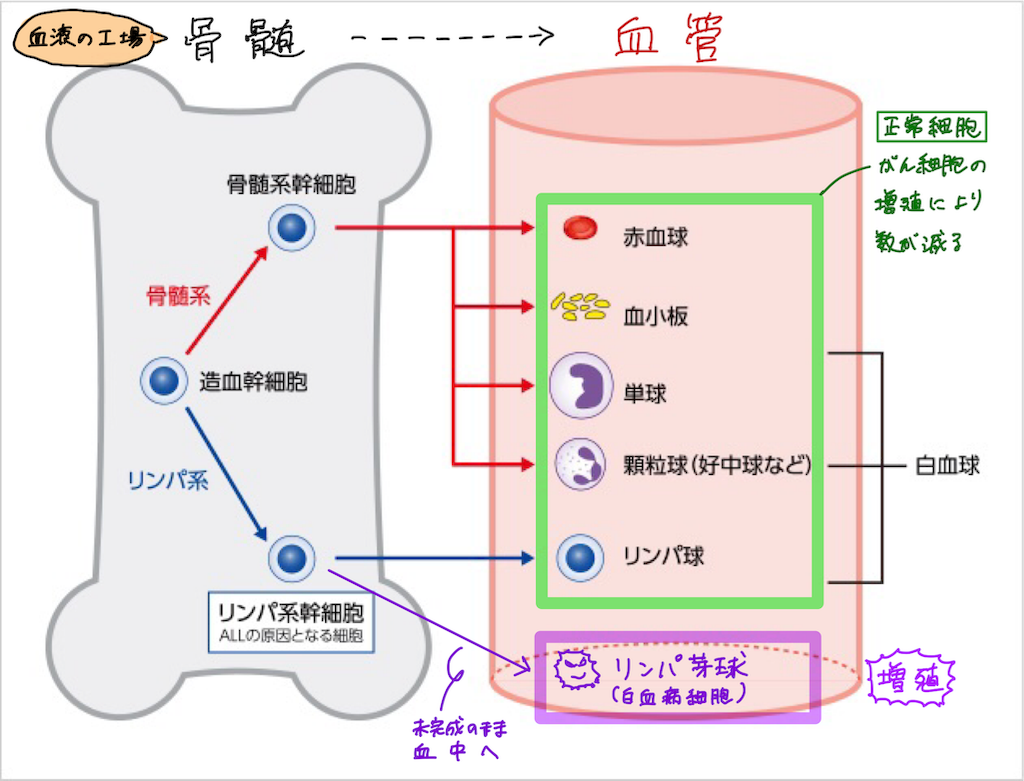 診断