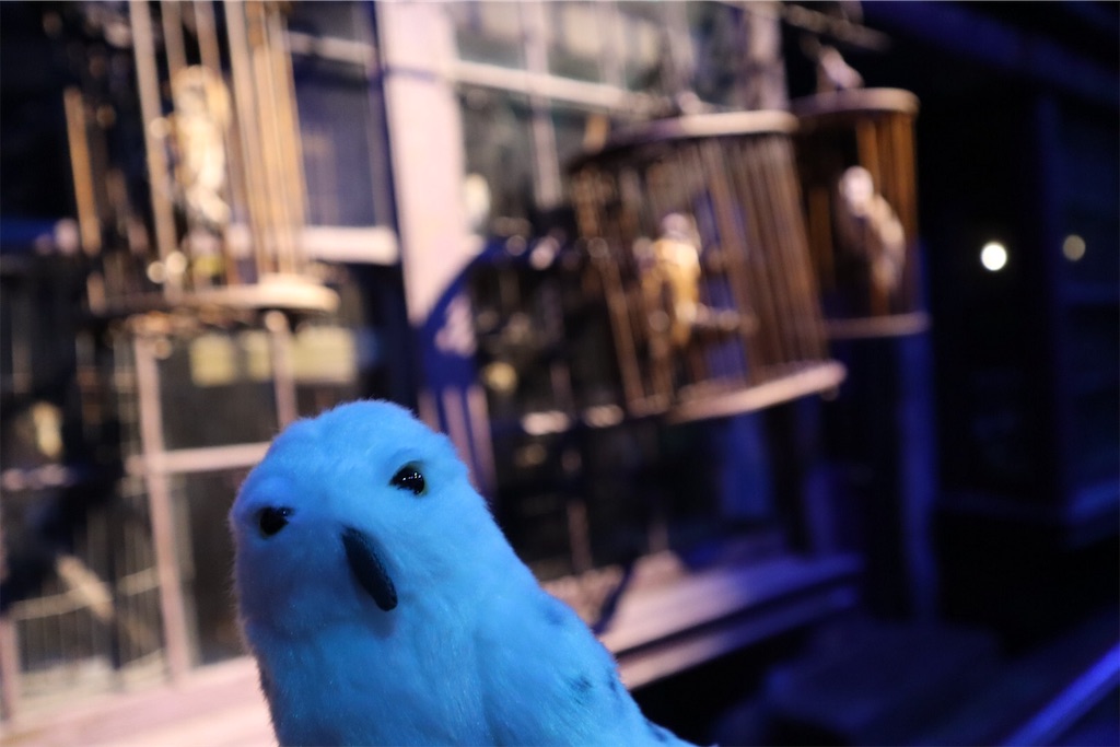 f:id:c_1130:20200204211255j:image