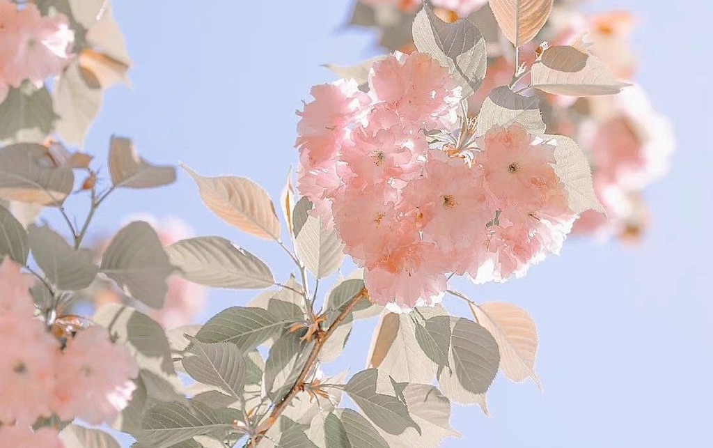 f:id:c___159:20241006215127j:image