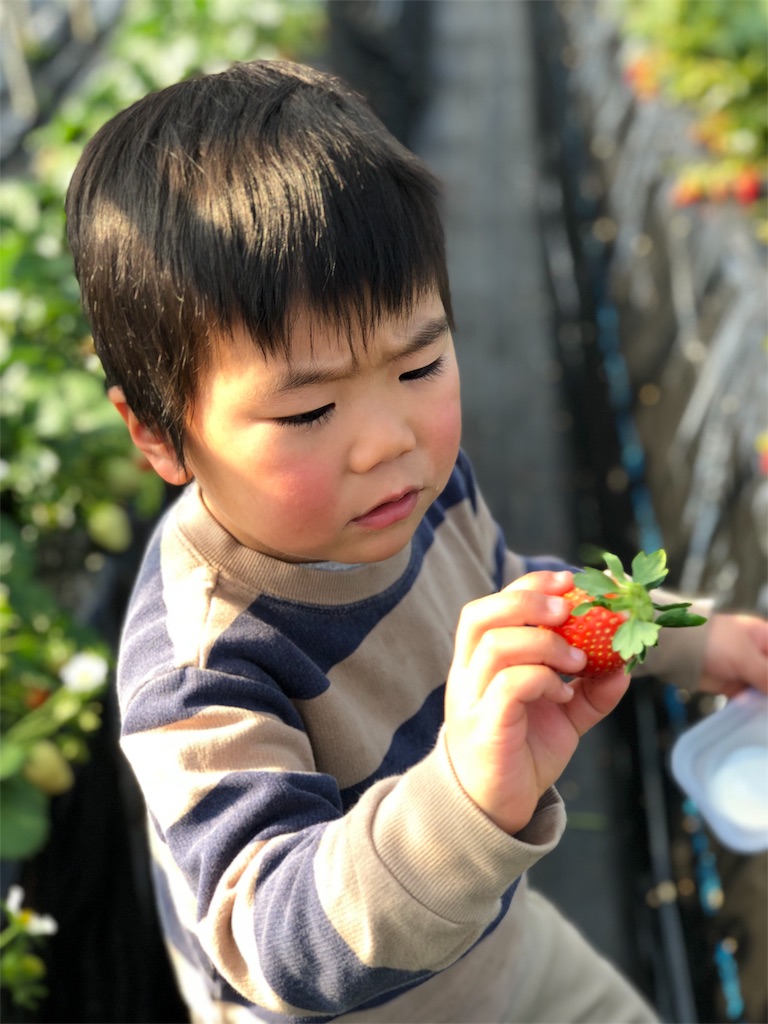 f:id:ca-san_diary:20180108223420j:image f:id:ca-san_diary:20180108223420j:image