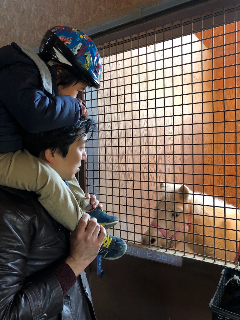 f:id:ca-san_diary:20180108230238j:image f:id:ca-san_diary:20180108230238j:image