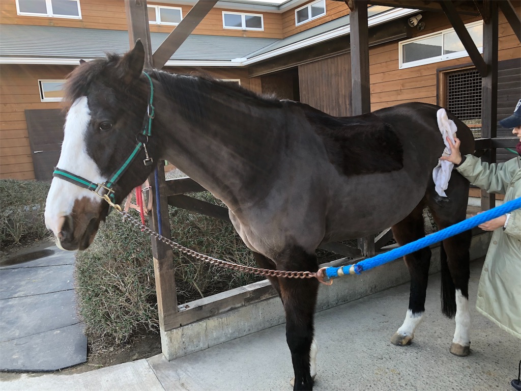 f:id:ca-san_diary:20180108230328j:image f:id:ca-san_diary:20180108230328j:image