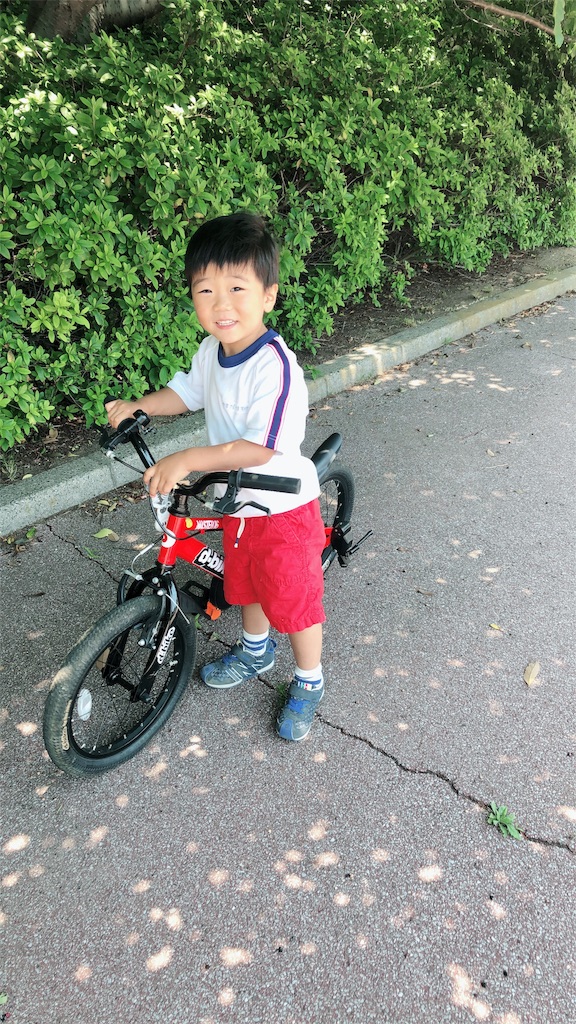 f:id:ca-san_diary:20180602140504j:image