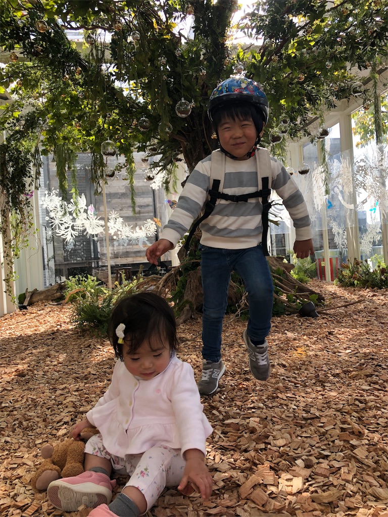 f:id:ca-san_diary:20181202233524j:image f:id:ca-san_diary:20181202233524j:image