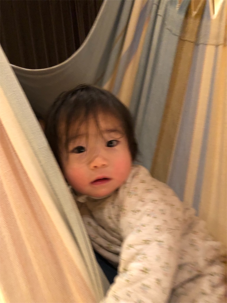 f:id:ca-san_diary:20190114220508j:image