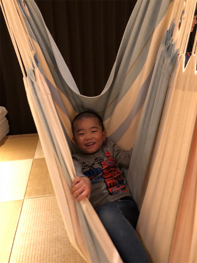 f:id:ca-san_diary:20190114220513j:image