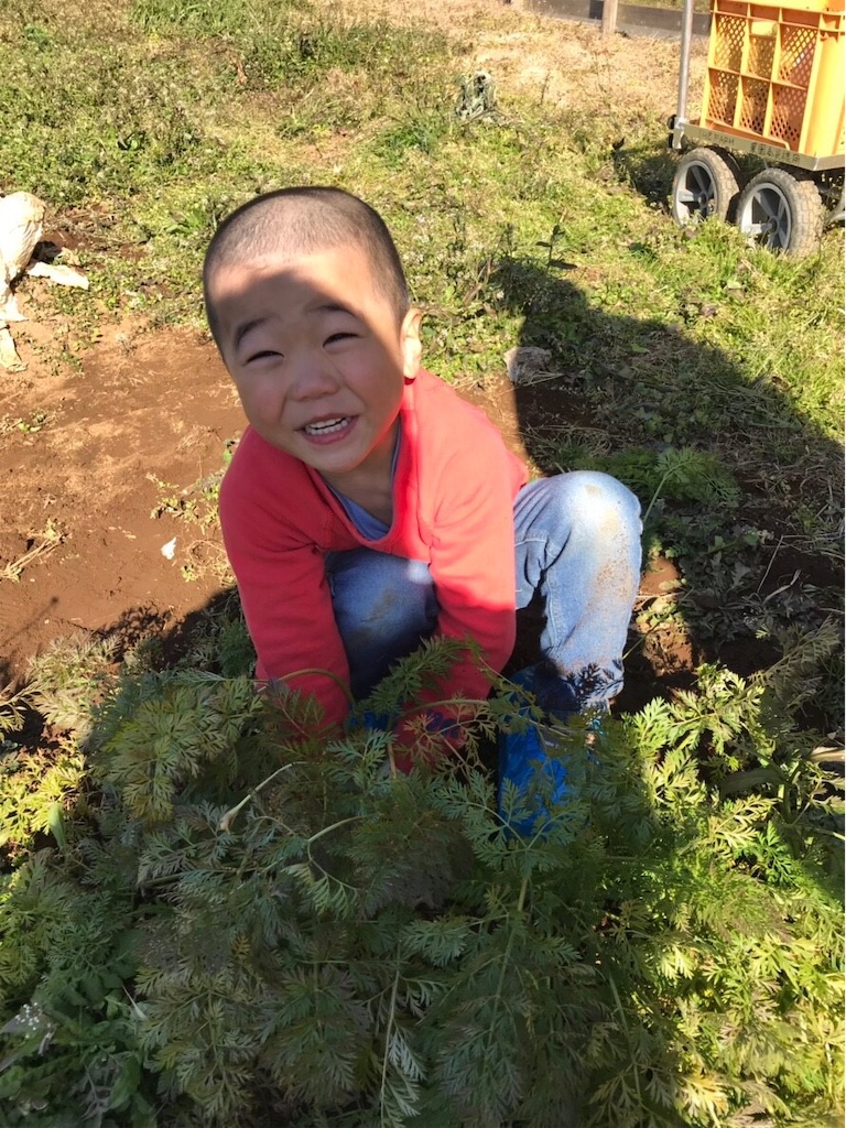 f:id:ca-san_diary:20190114220517j:image