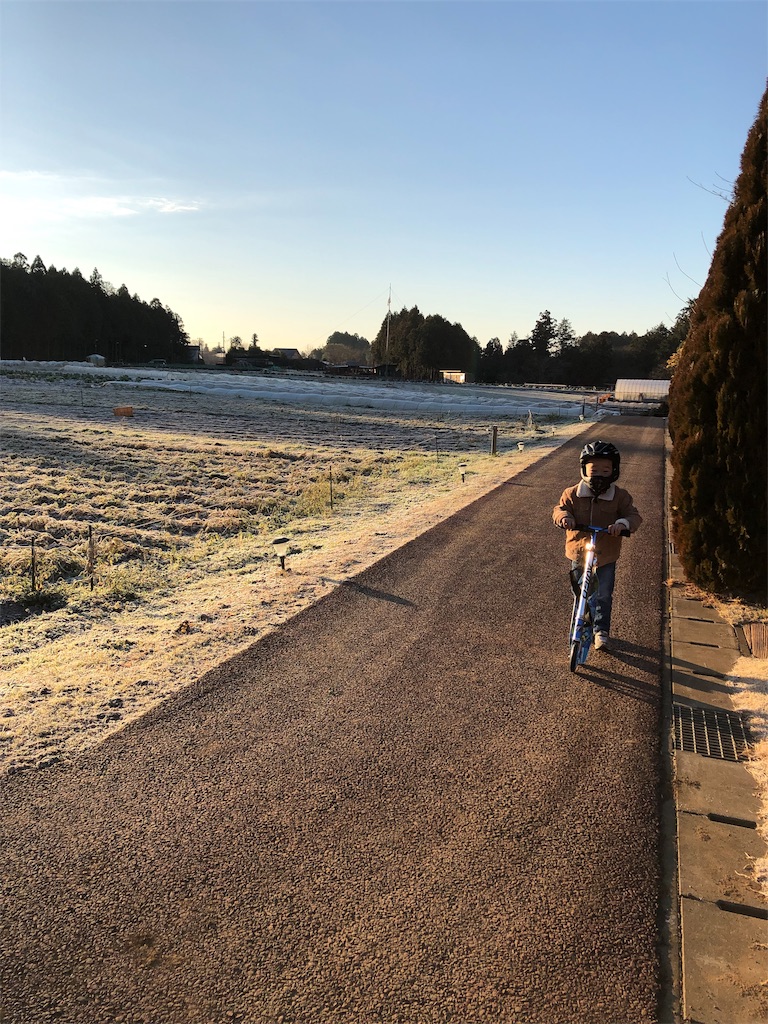 f:id:ca-san_diary:20190114221739j:image