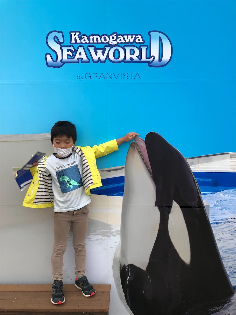 f:id:ca-san_diary:20201112111751j:image f:id:ca-san_diary:20201112111751j:image