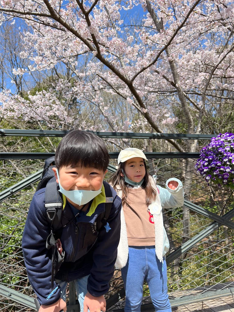 f:id:ca-san_diary:20220406111803j:image