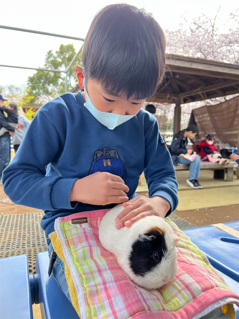 f:id:ca-san_diary:20220406114125j:image