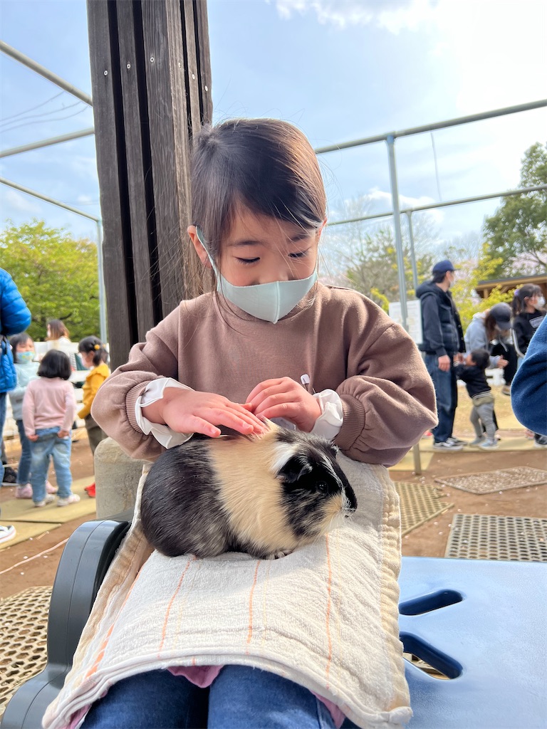 f:id:ca-san_diary:20220406114128j:image