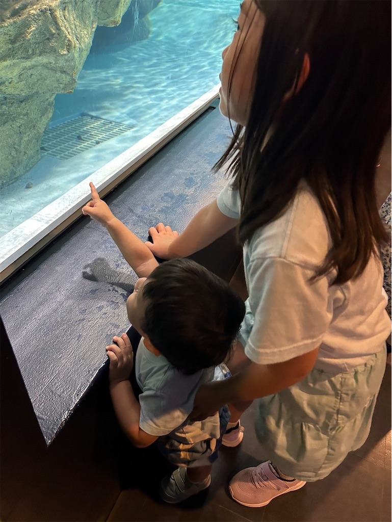 f:id:ca-san_diary:20240925190809j:image