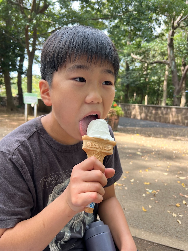 f:id:ca-san_diary:20251104110101j:image