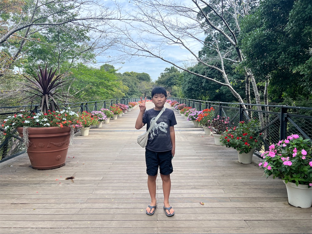 f:id:ca-san_diary:20251104110108j:image