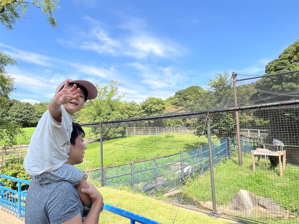 f:id:ca-san_diary:20251104111606j:image