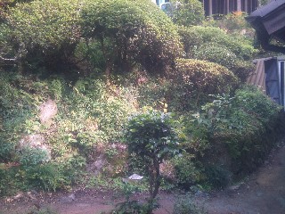 f:id:ca1601227:20190129215747j:plain f:id:ca1601227:20190129215747j:plain