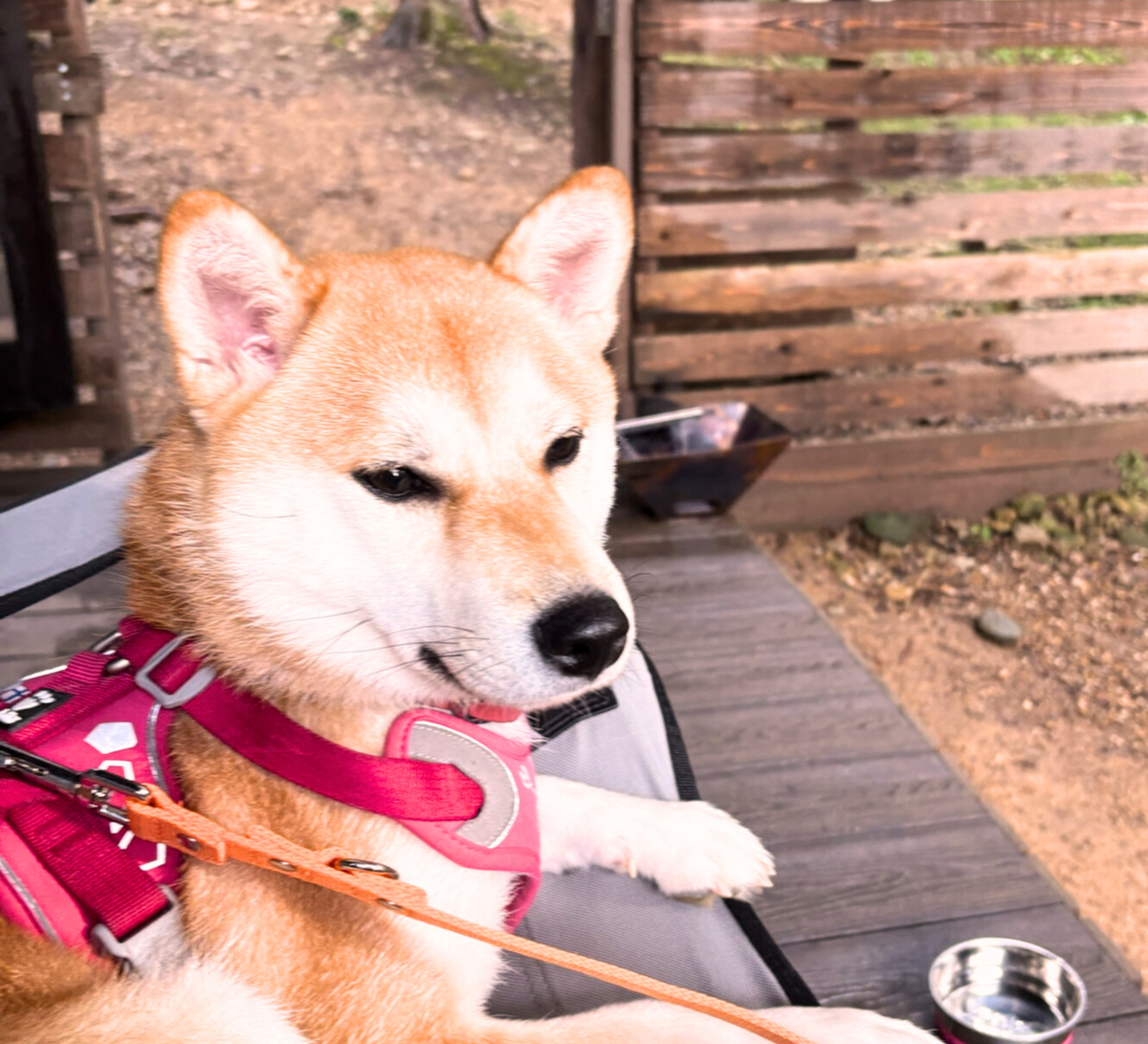 丹波市のGround Rock Castleへ愛犬とキャンプへ