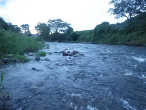 f:id:cablefisfa:20100113091644j:image