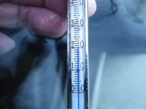f:id:cablefisfa:20100113091832j:image