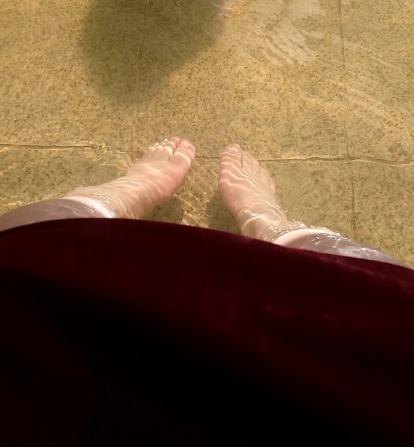 f:id:cacao6823:20200222201944j:image f:id:cacao6823:20200222201944j:image