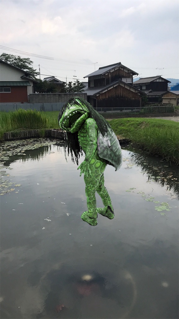 f:id:cacaoman:20190727212915j:image