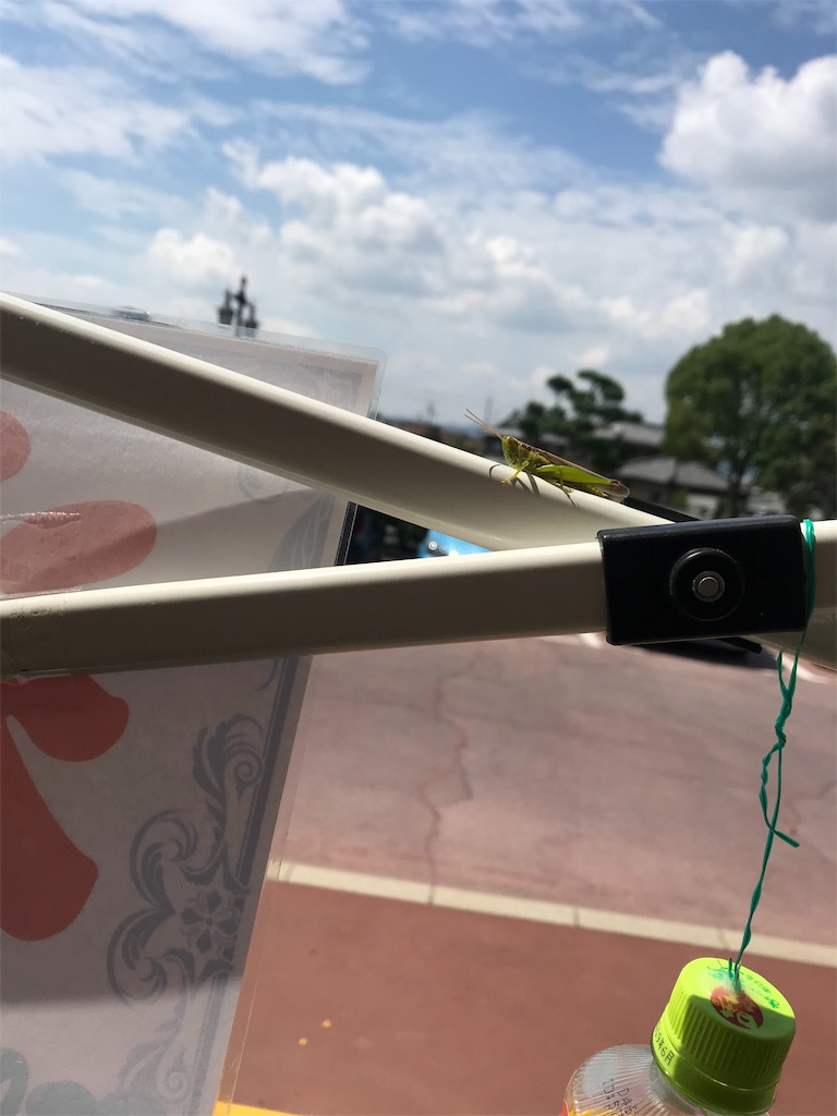 f:id:cacaoman:20190828124850j:image