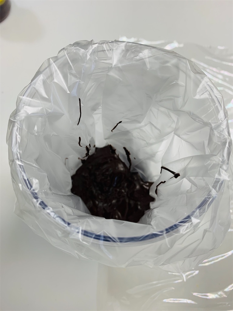 f:id:cacaotree:20210208123852j:image