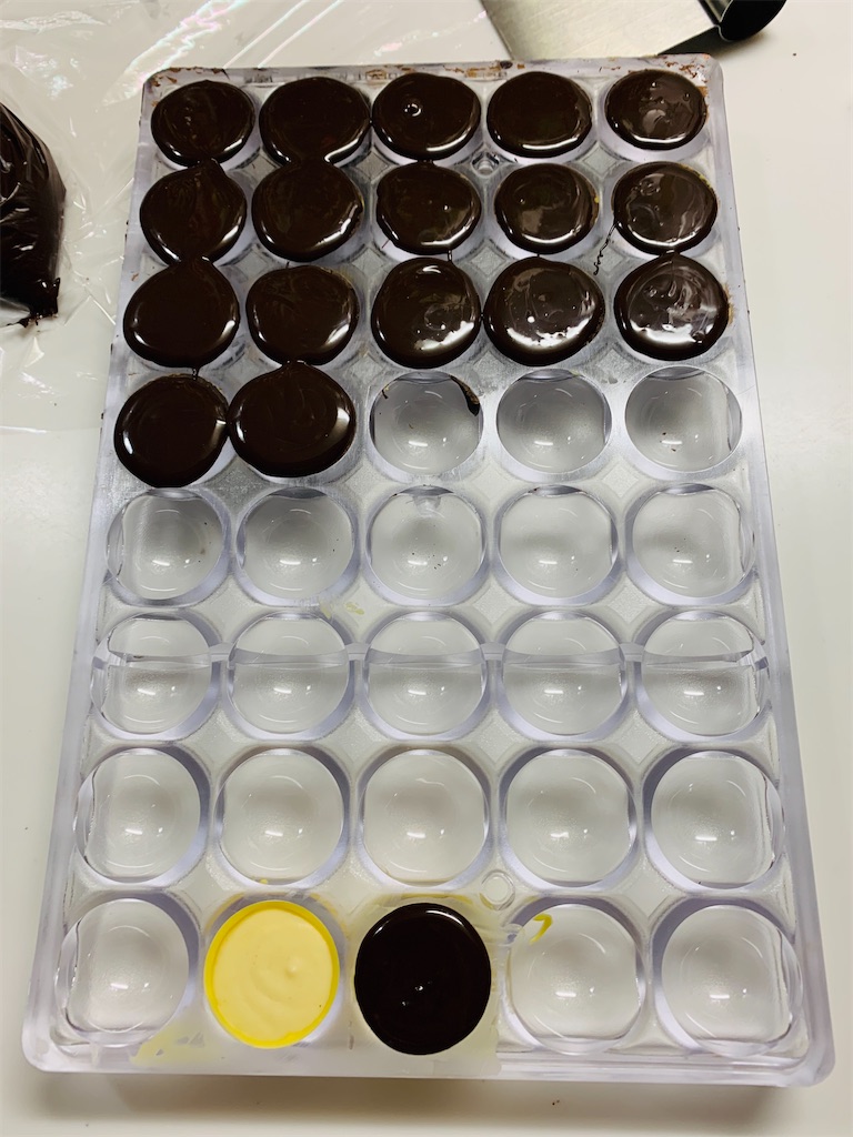 f:id:cacaotree:20210208123906j:image