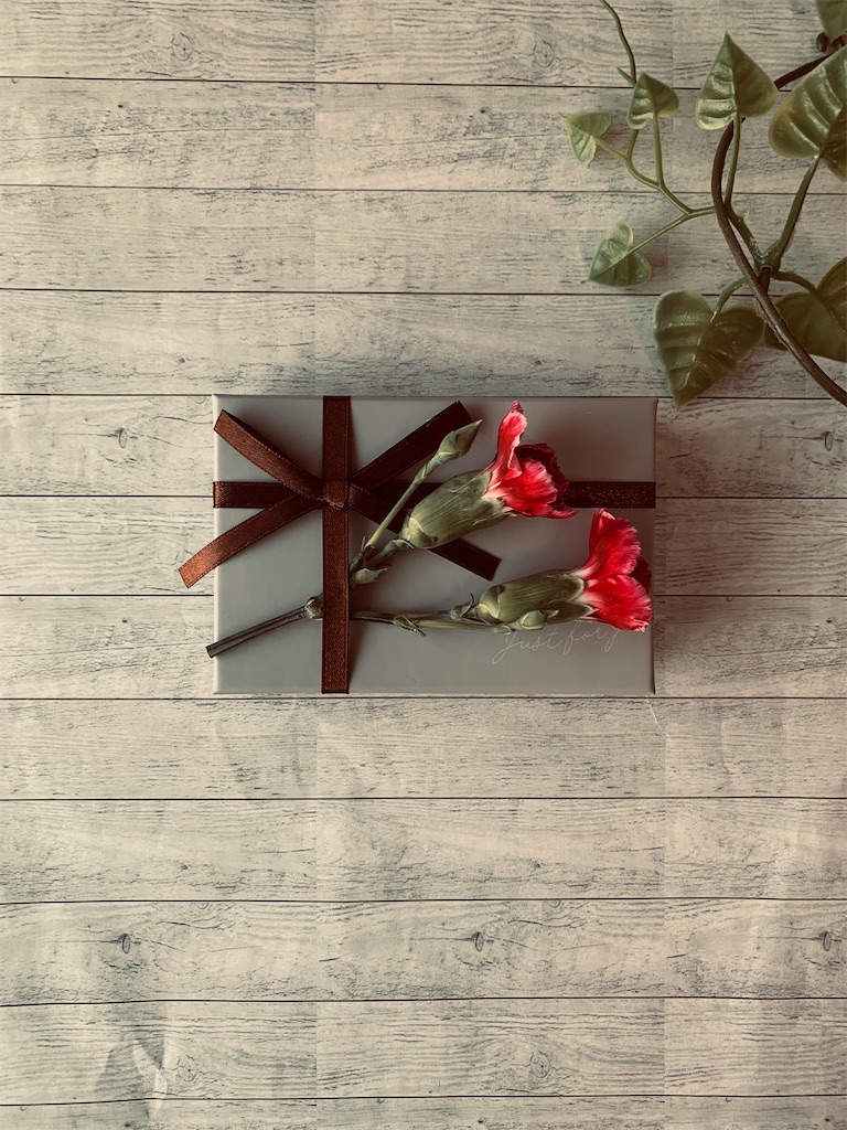 f:id:cacaotree:20210211081700j:image