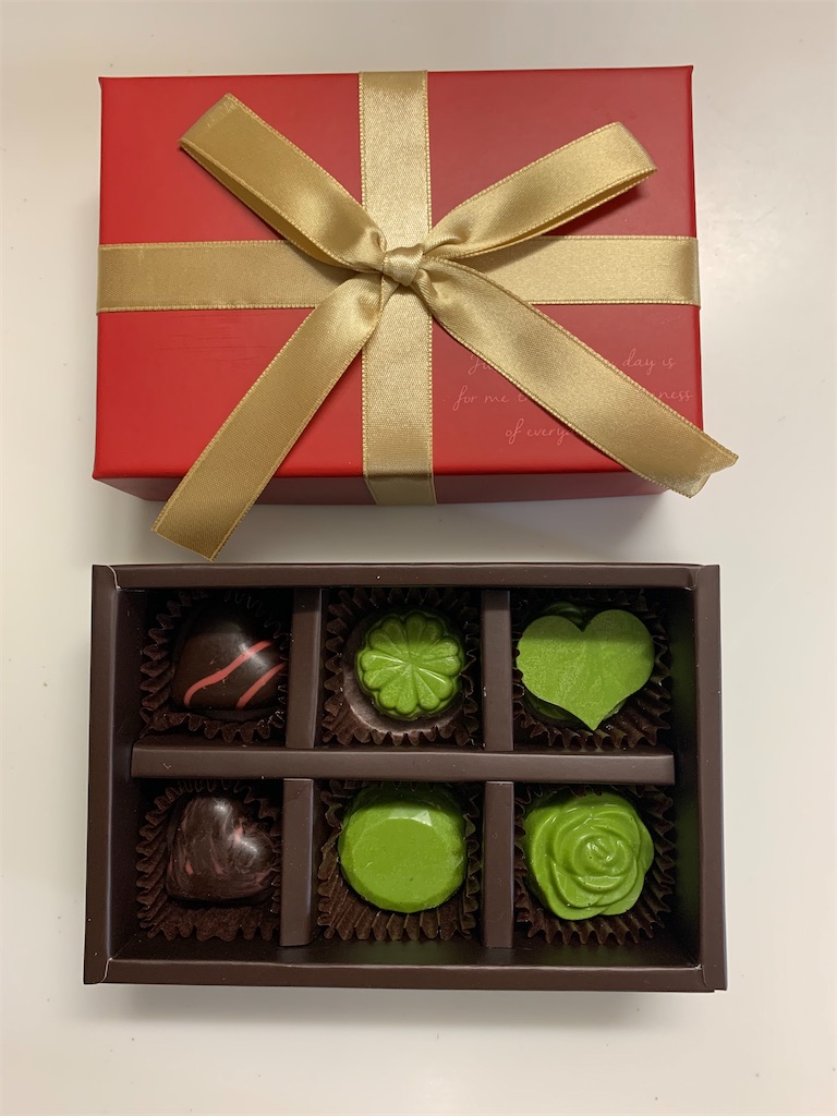 f:id:cacaotree:20210214163156j:image