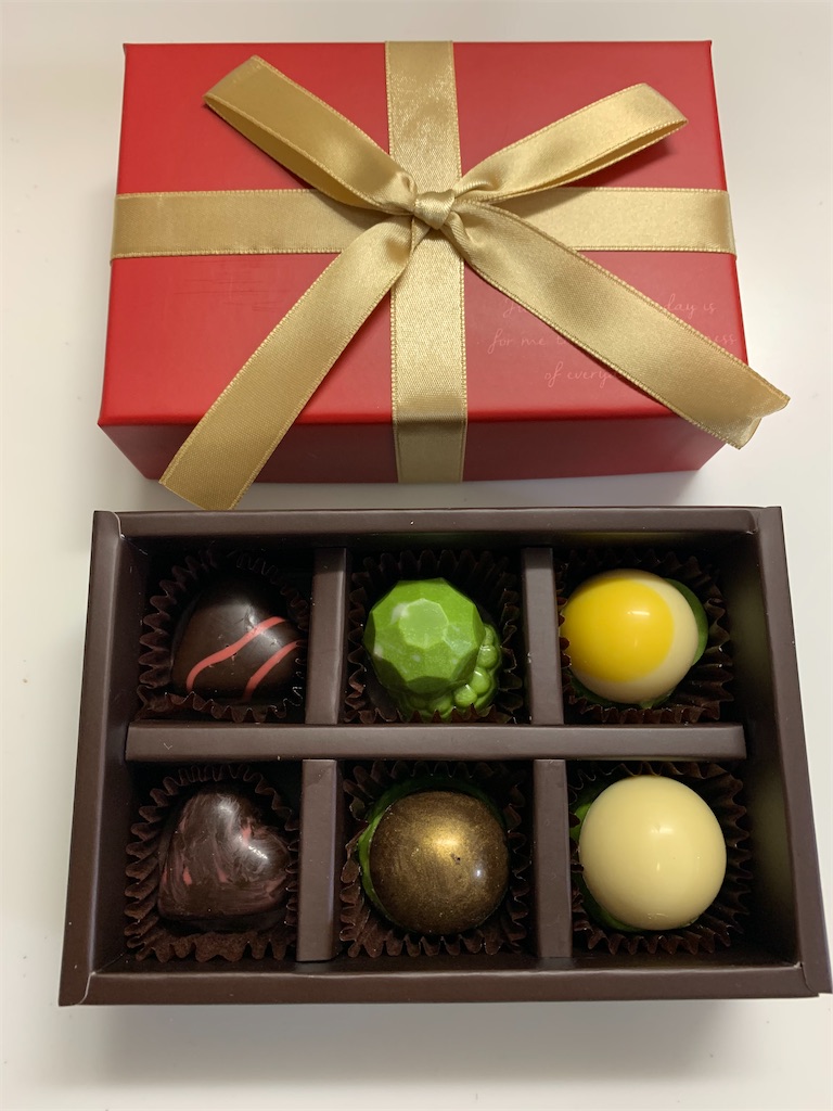 f:id:cacaotree:20210220202524j:image