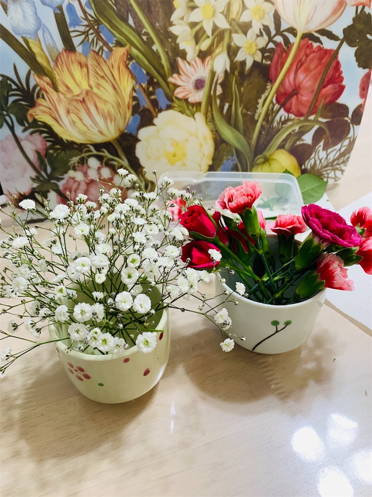 f:id:cacaotree:20210220202536j:image