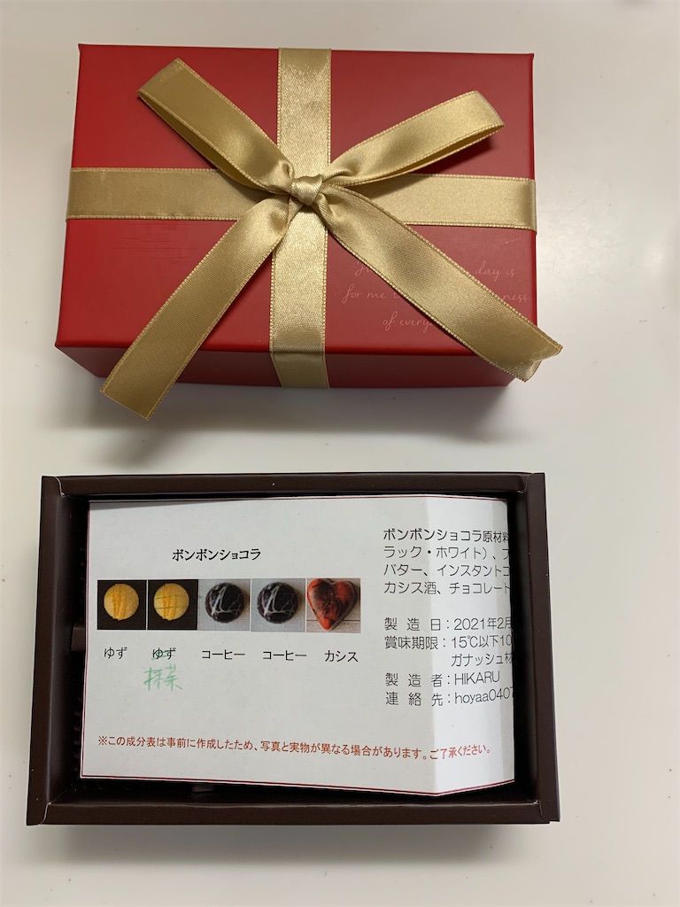 f:id:cacaotree:20210220202539j:image