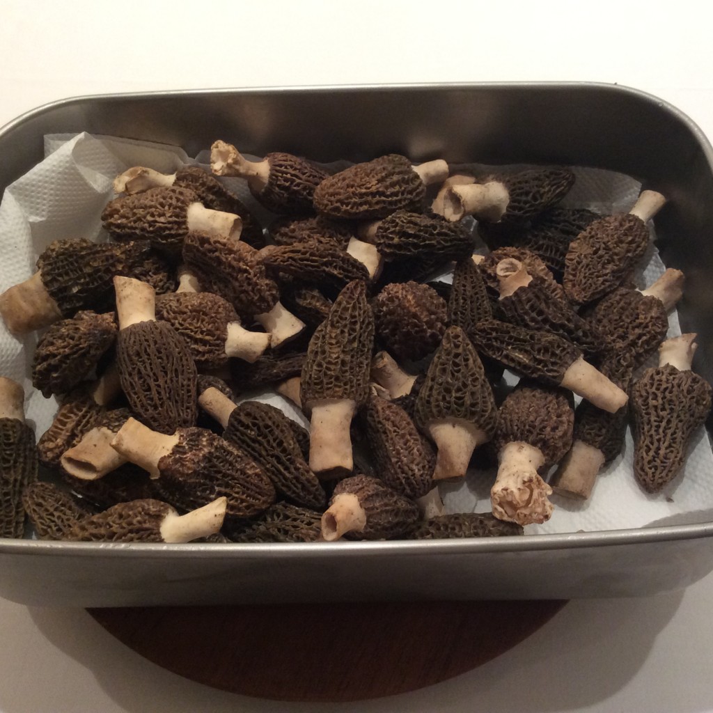 f:id:cacciatori:20170303235255j:plain