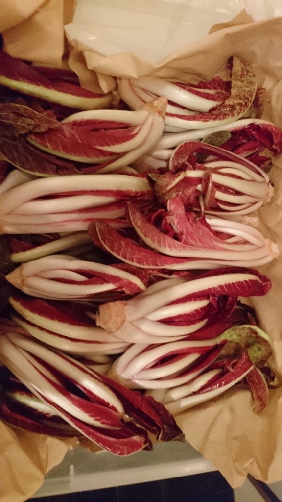 f:id:cacciatori:20180107220524j:plain