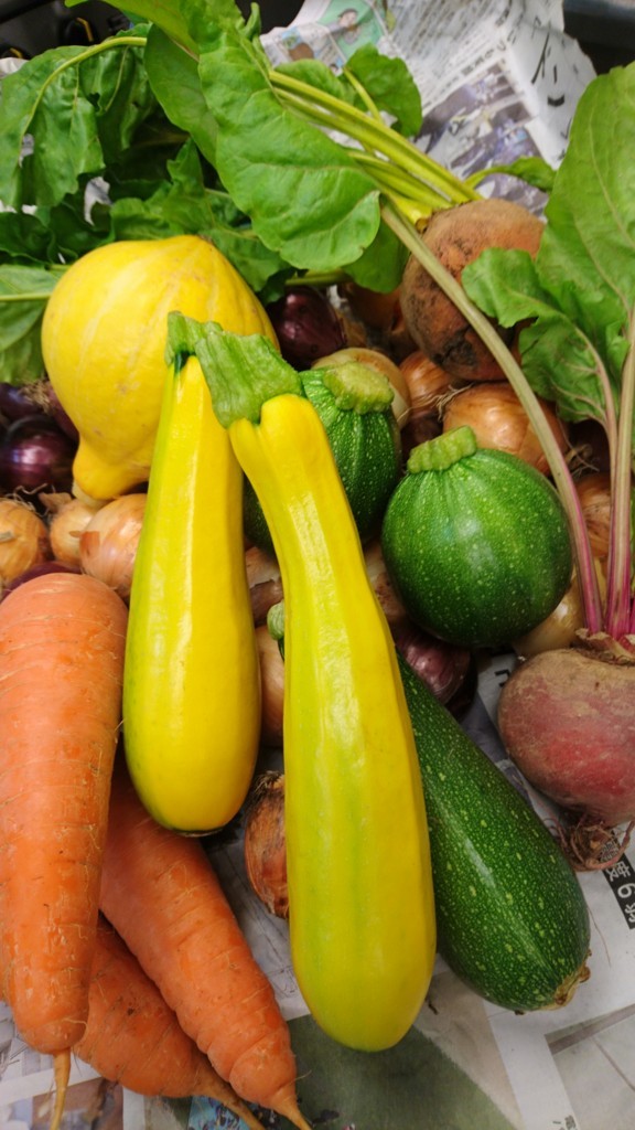 f:id:cacciatori:20180705163632j:plain