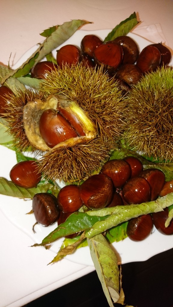 f:id:cacciatori:20180921212405j:plain