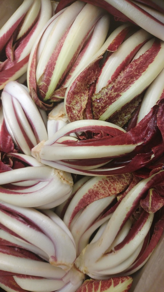 f:id:cacciatori:20190202151631j:plain