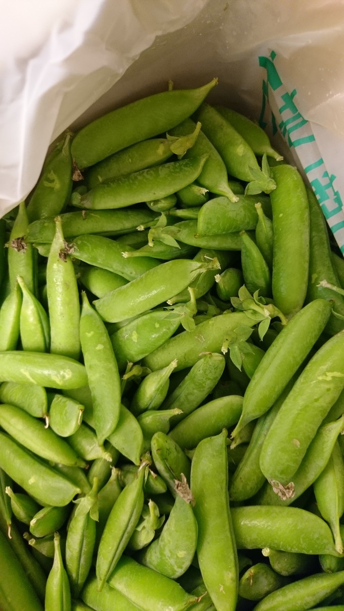 f:id:cacciatori:20190711151545j:plain