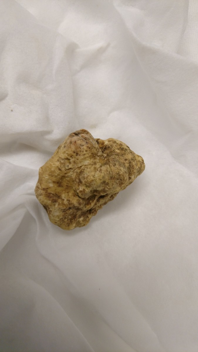 f:id:cacciatori:20191108162709j:plain