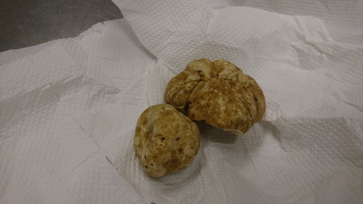 f:id:cacciatori:20191122202359j:plain