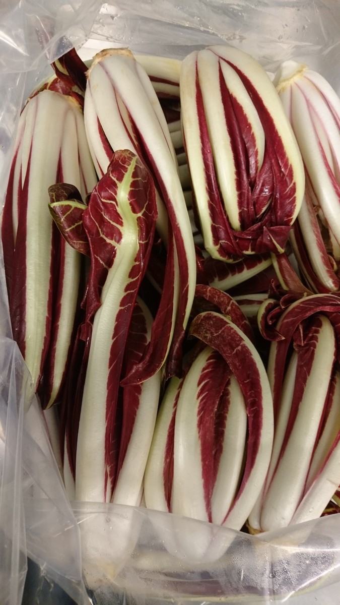 f:id:cacciatori:20191230111317j:plain