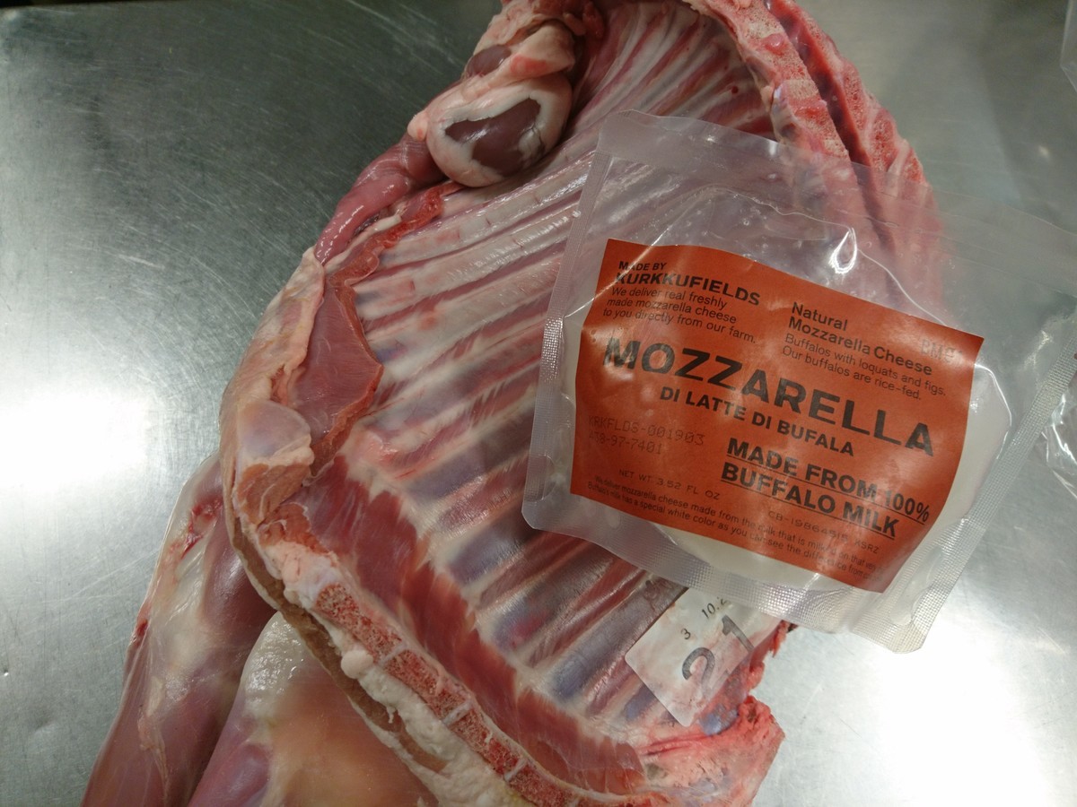 f:id:cacciatori:20211024132205j:plain