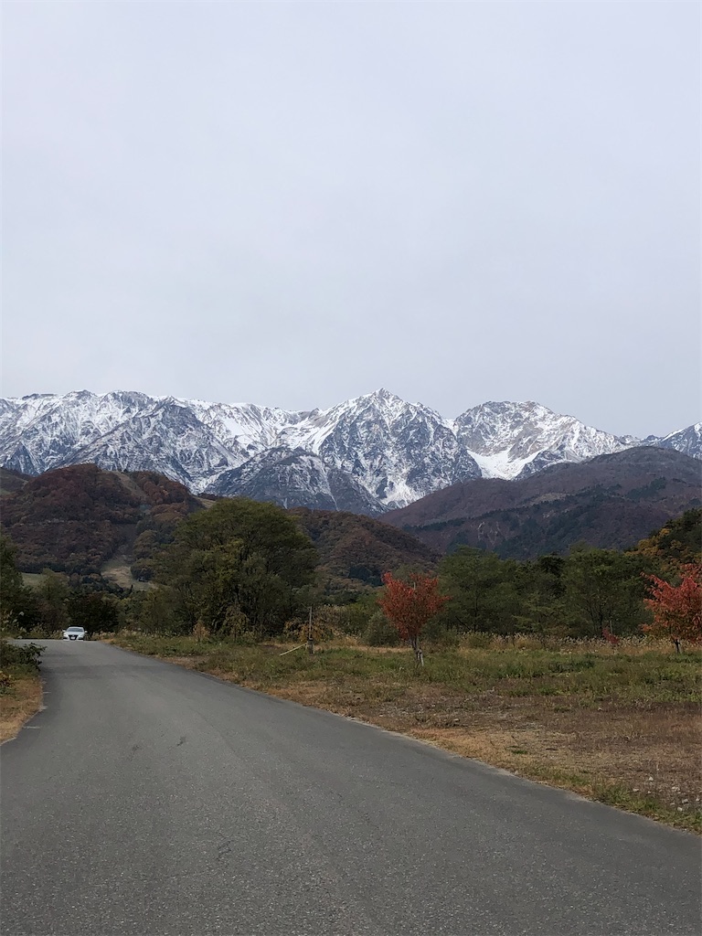f:id:cactus-hakuba:20201028204026j:image f:id:cactus-hakuba:20201028204026j:image