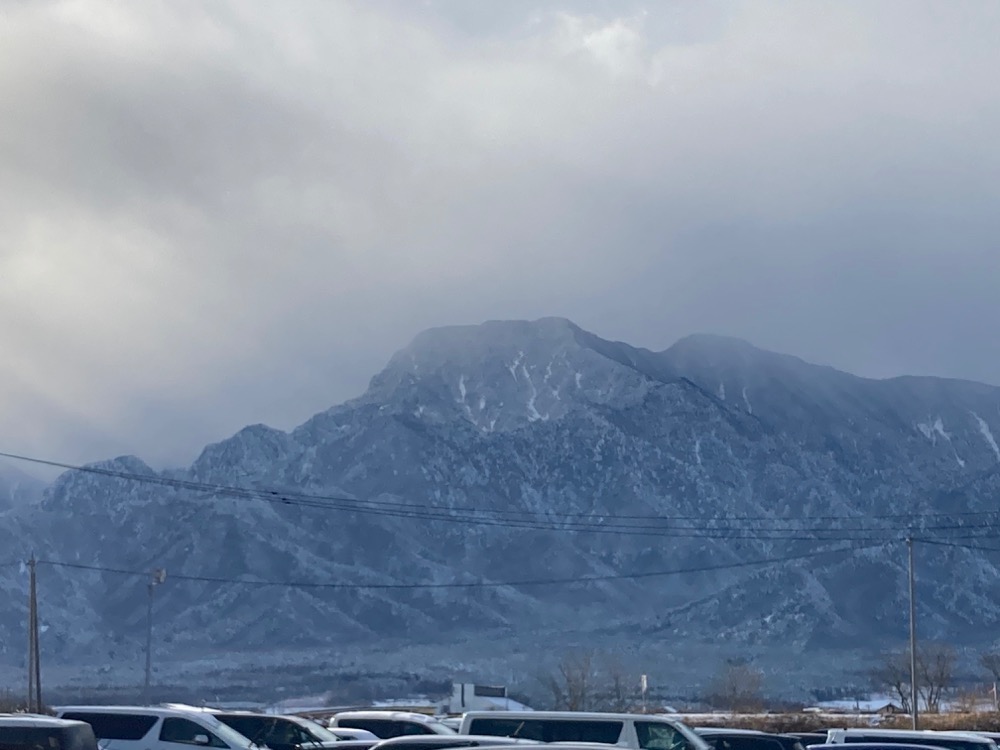f:id:cactus-hakuba:20201220050905j:plain