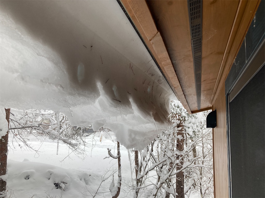 f:id:cactus-hakuba:20210111203703j:image f:id:cactus-hakuba:20210111203703j:image